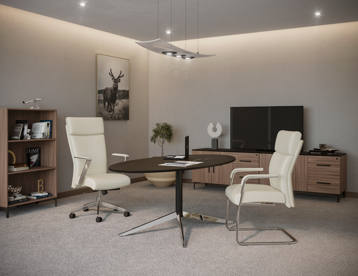 Ceo Visita