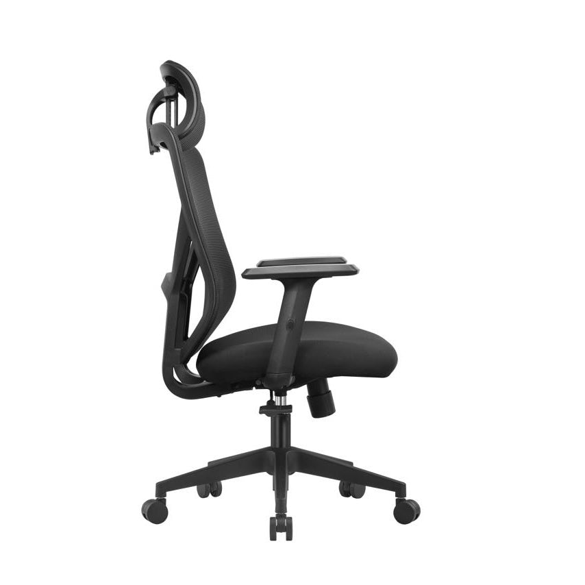 León silla ejecutiva