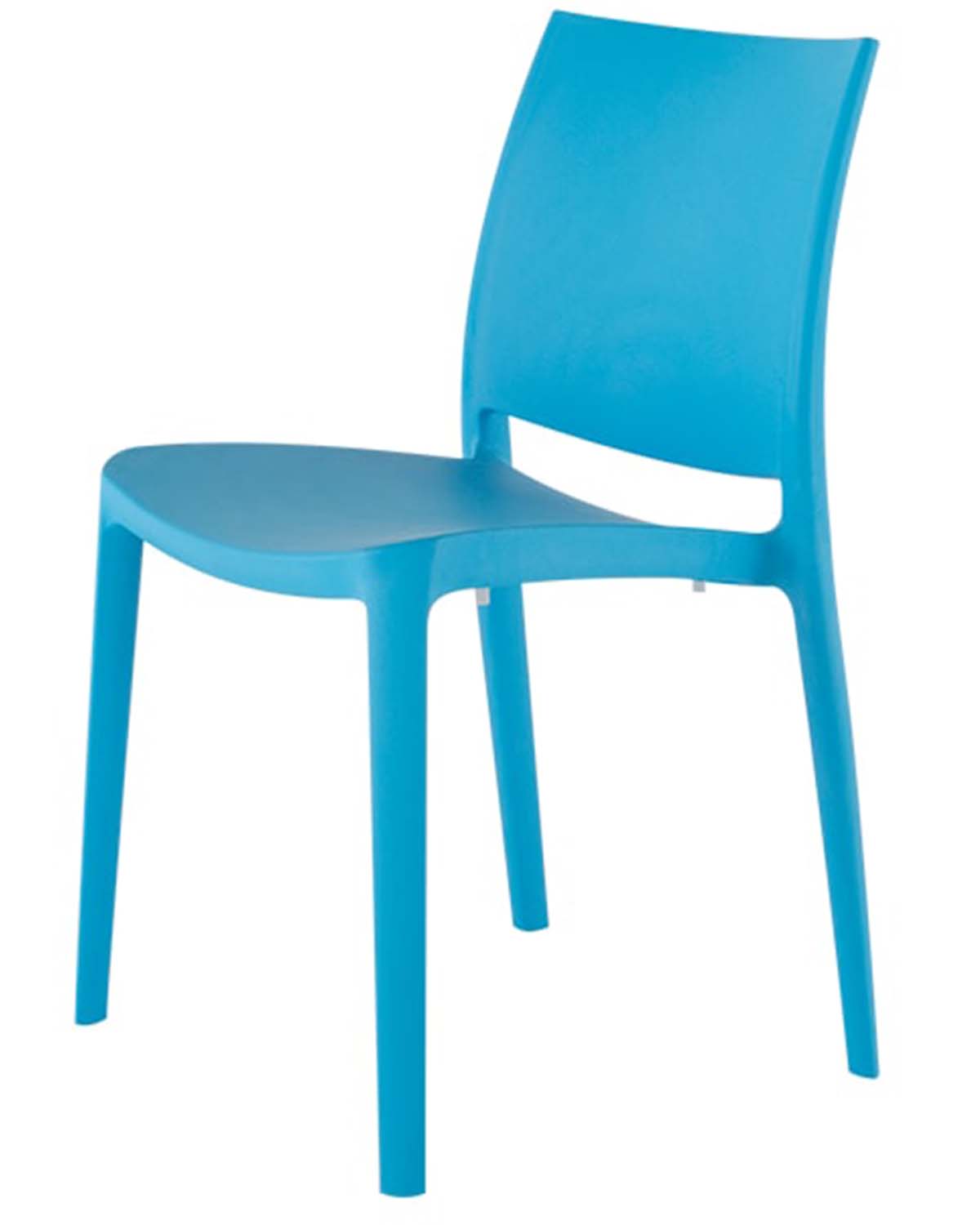 Sensilla silla exterior