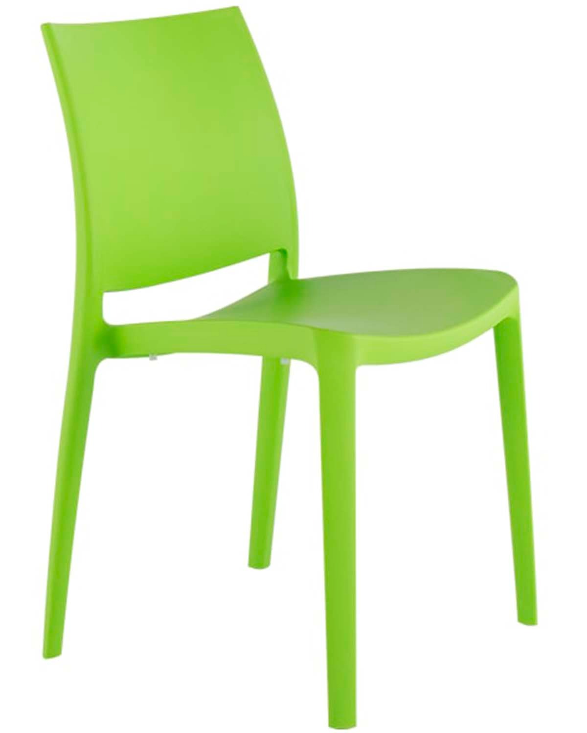 Sensilla silla exterior