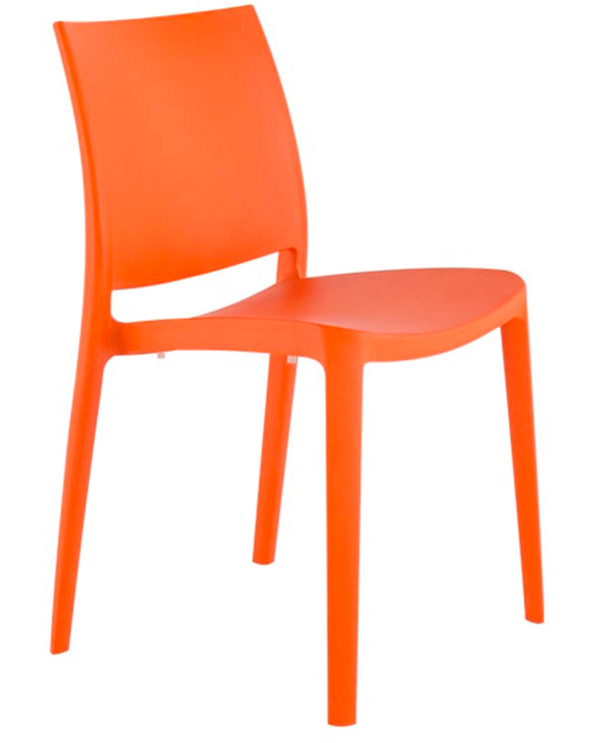 Sensilla silla exterior