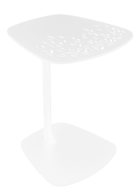 Boga