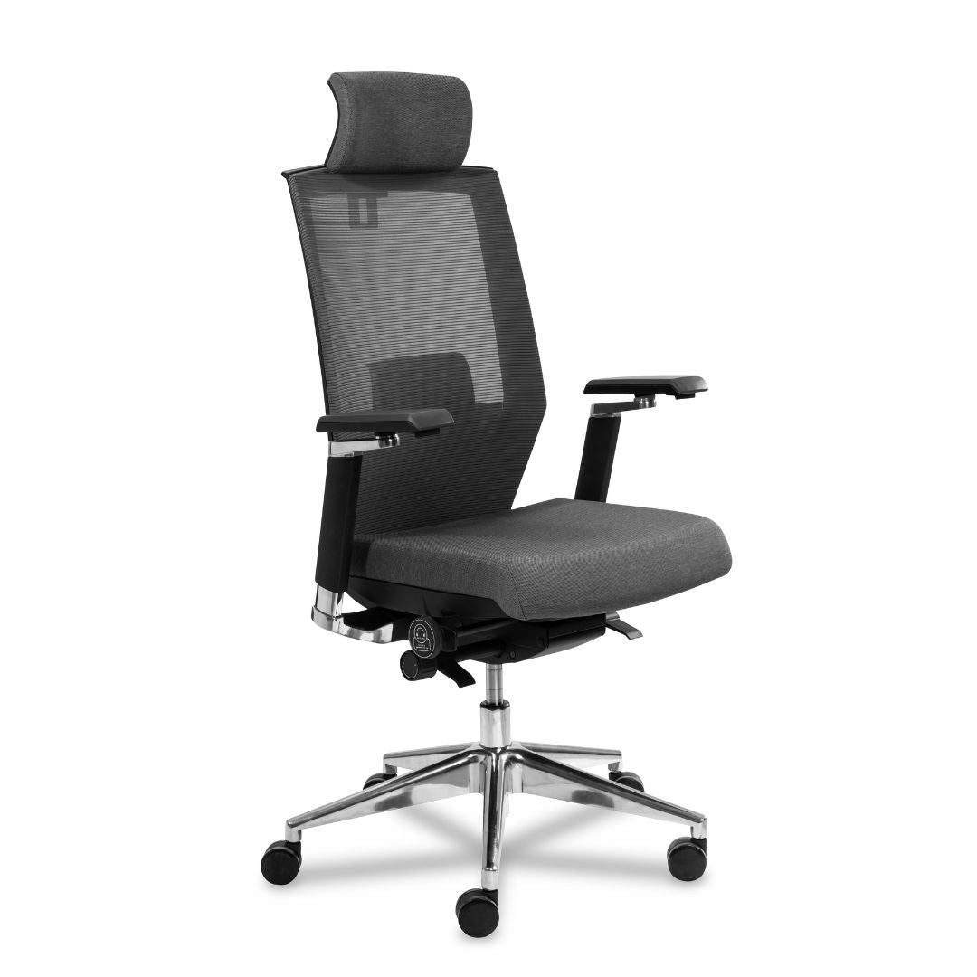 Dinamarca – silla directiva