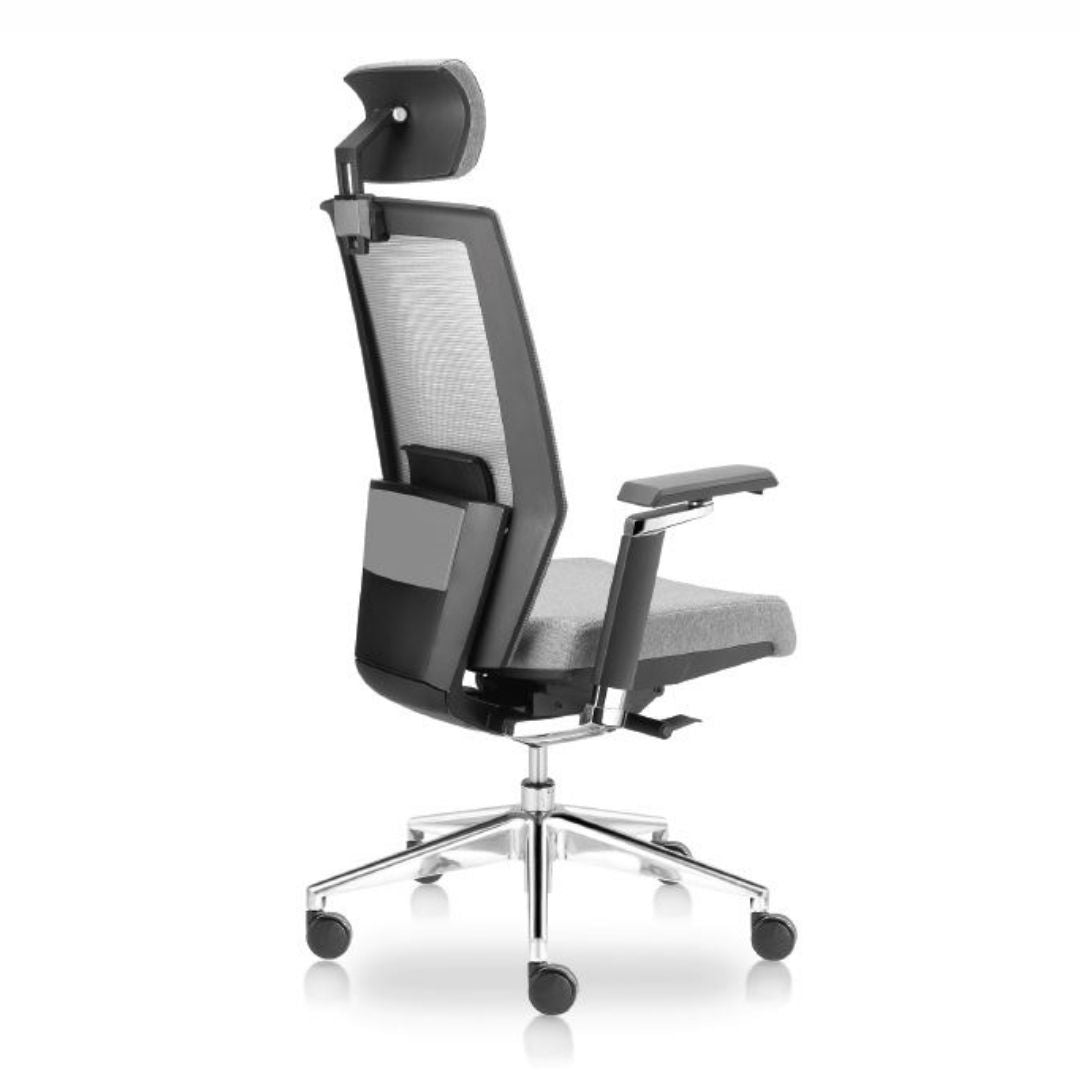 Dinamarca – silla directiva