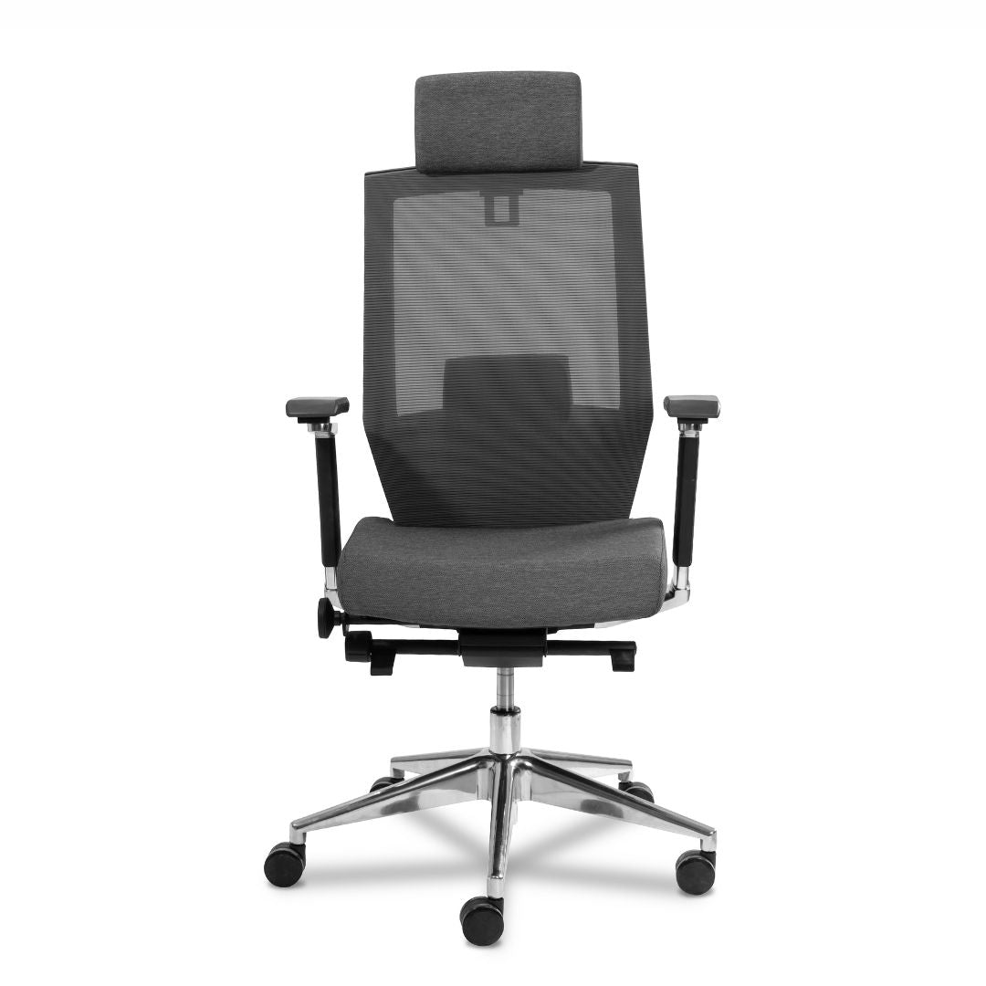Dinamarca – silla directiva