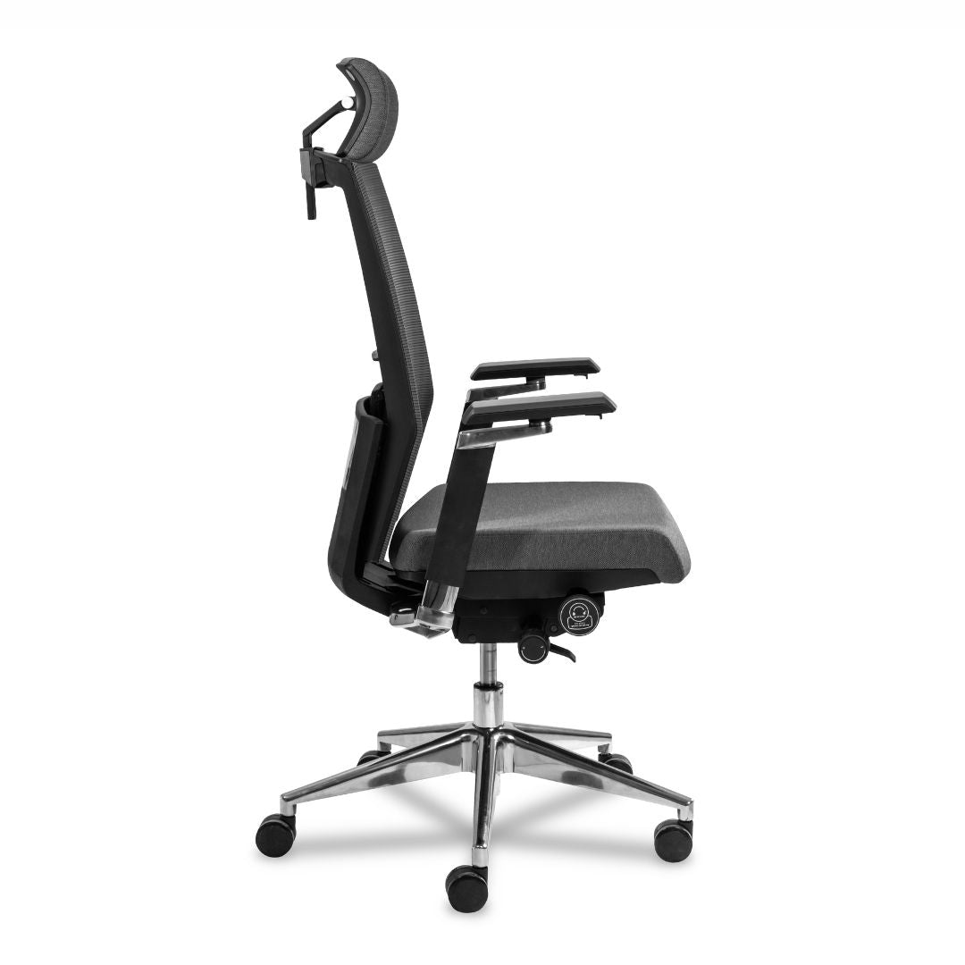 Dinamarca – silla directiva