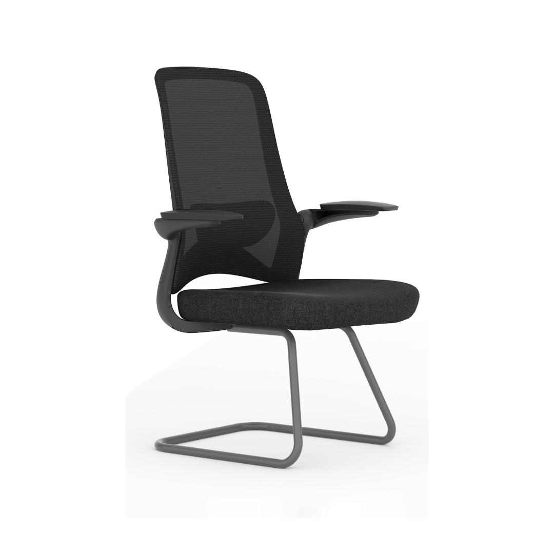 Dolphin silla visitante trineo