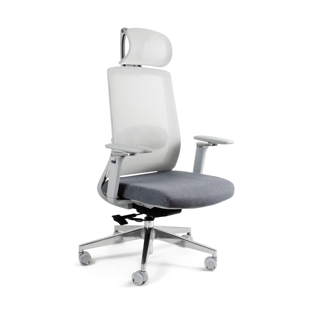Alfa silla directiva