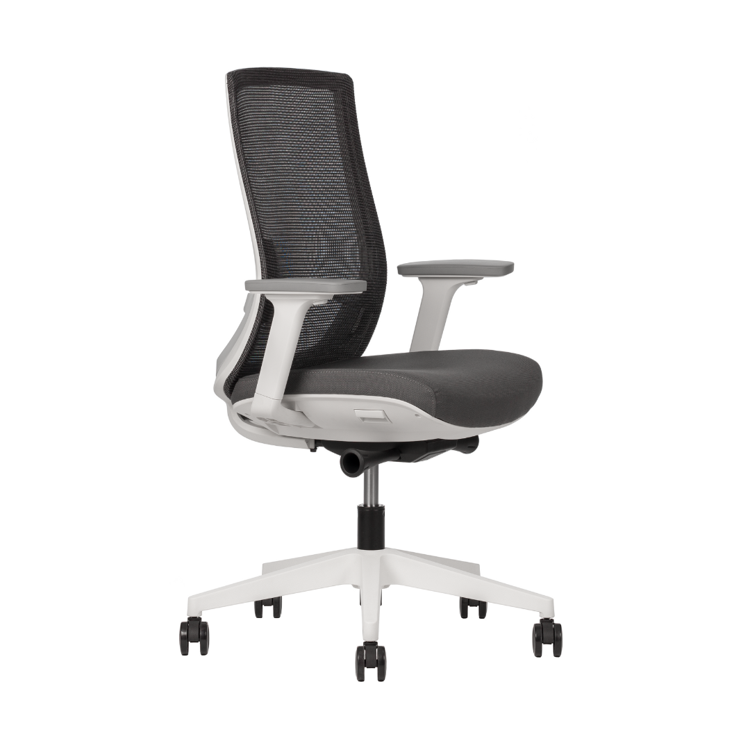 Polar Respaldo Bajo