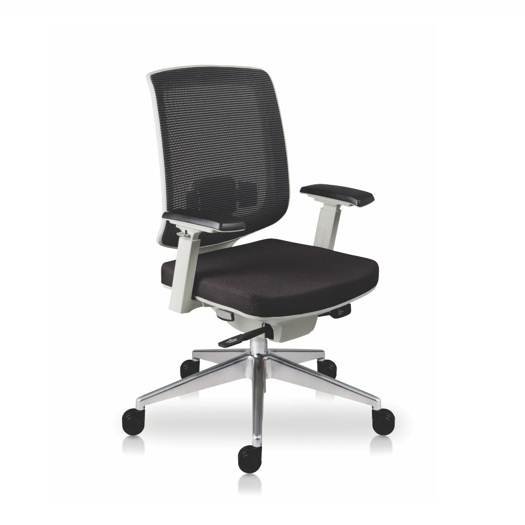 Finisterre silla directiva