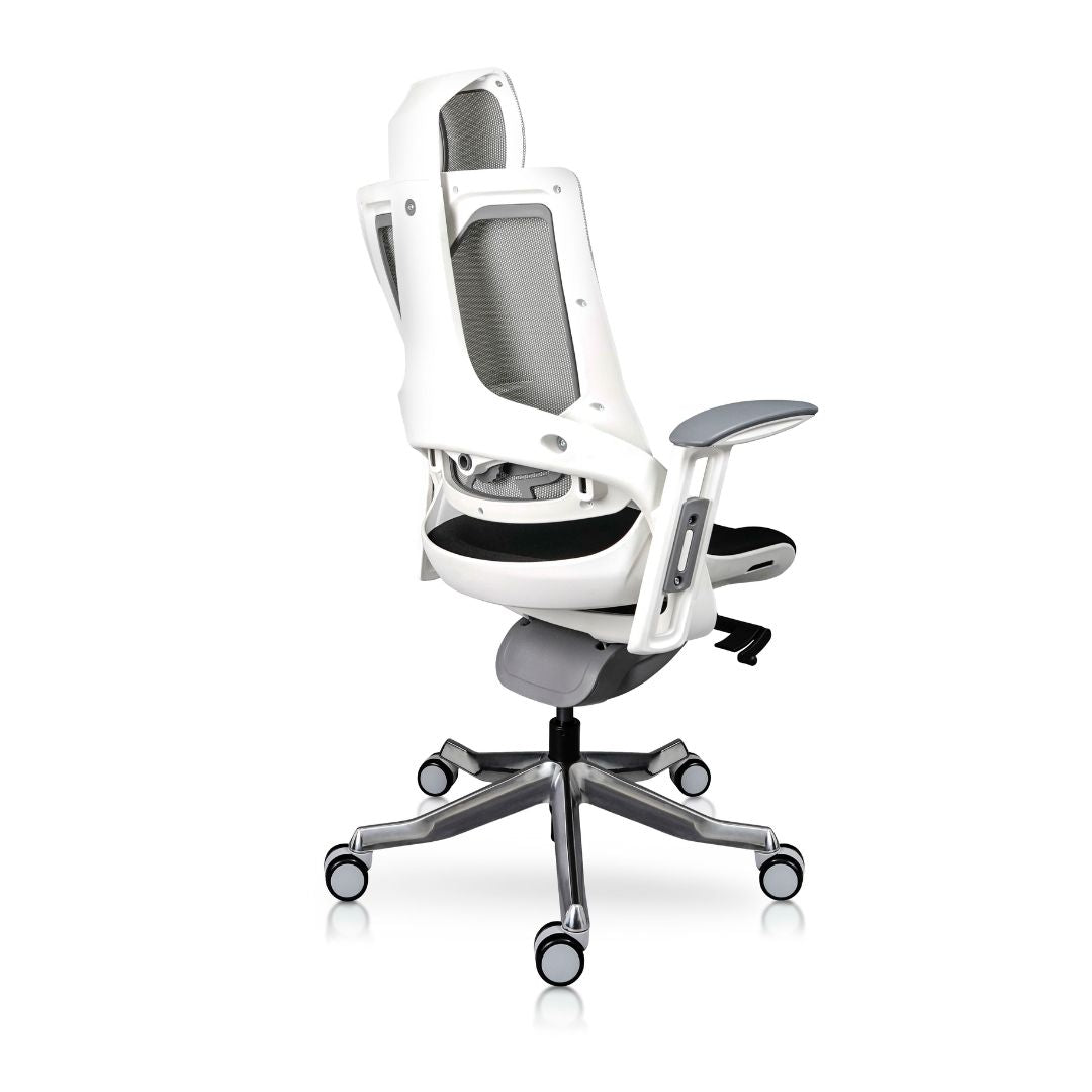 Madagascar silla directiva