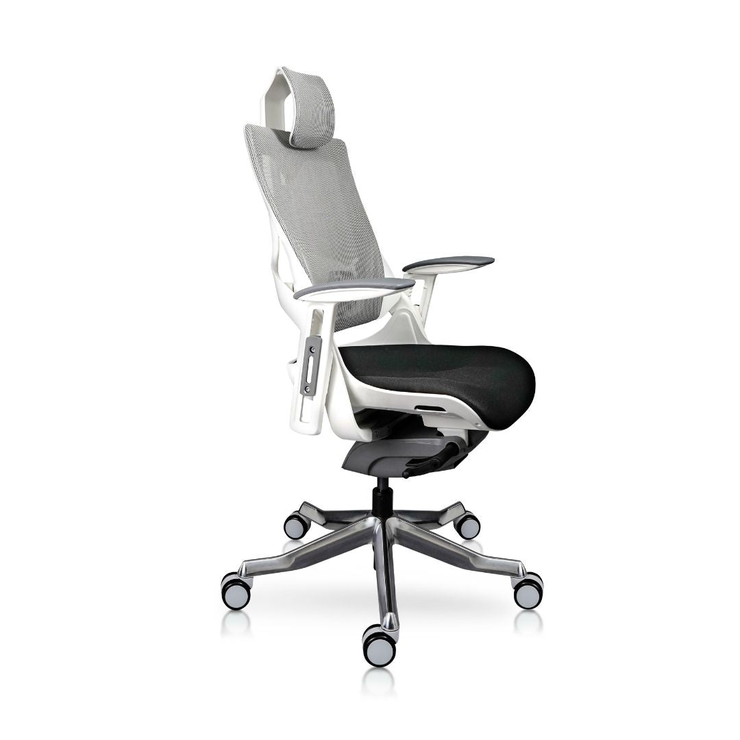 Madagascar silla directiva