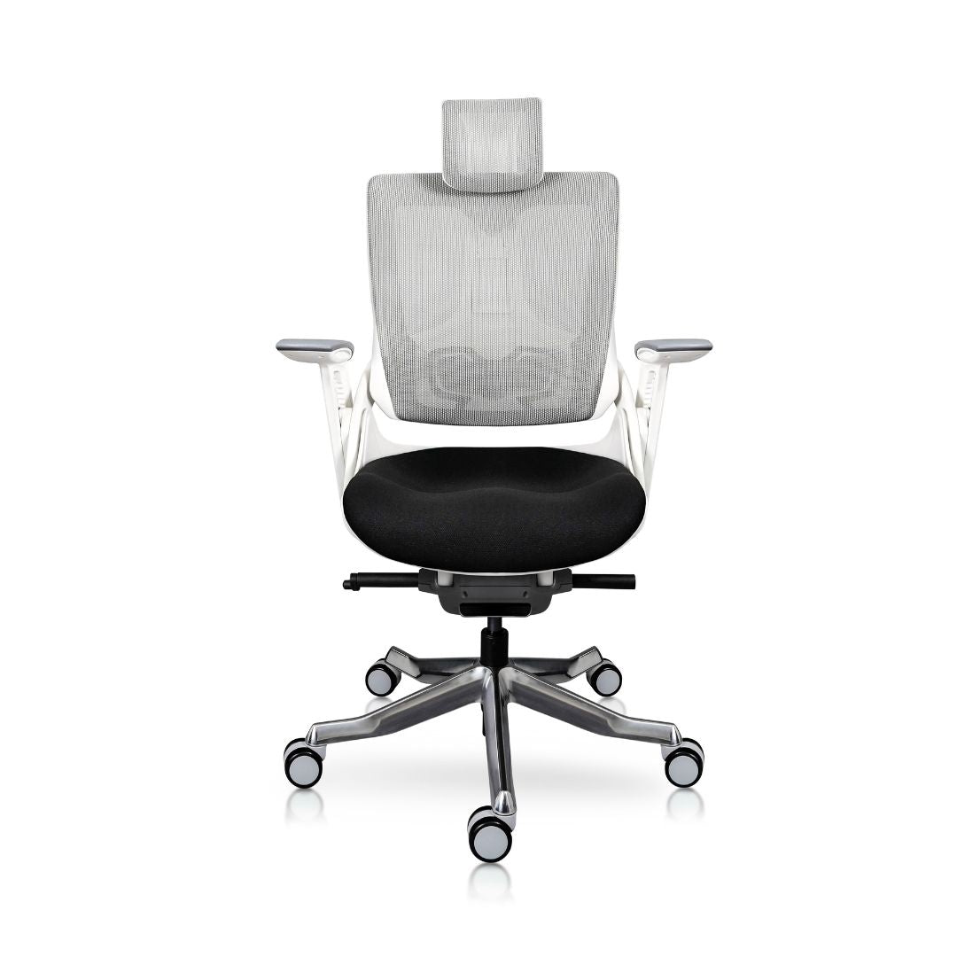 Madagascar silla directiva