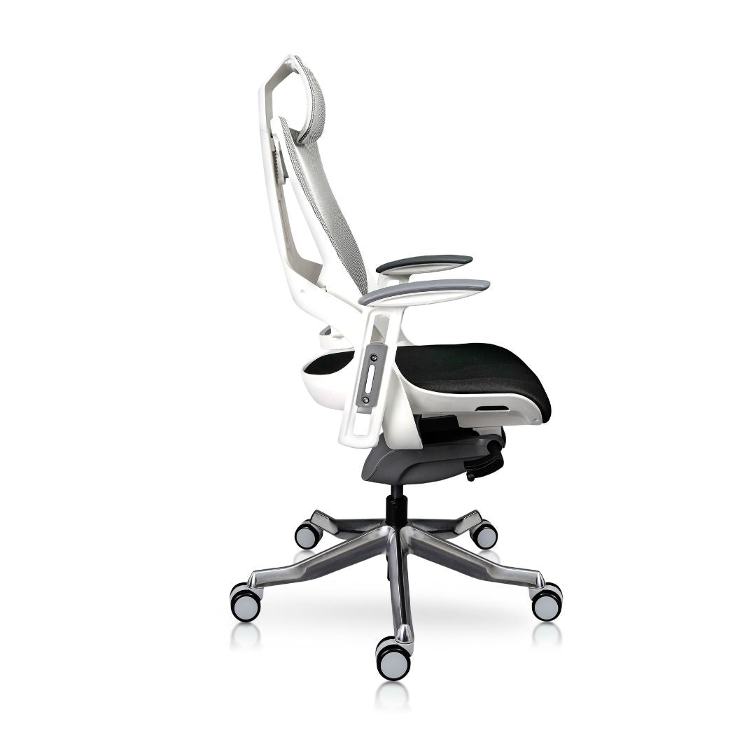 Madagascar silla directiva