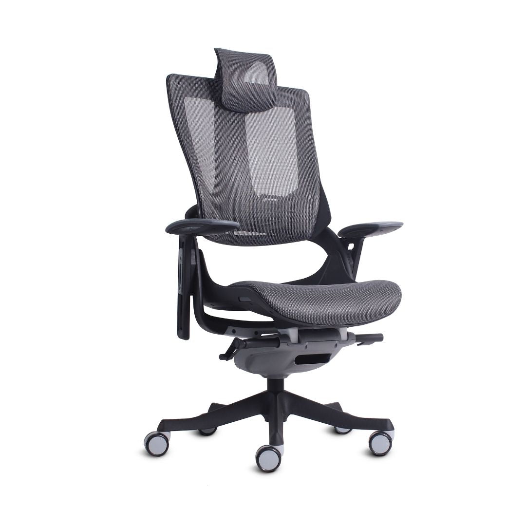 Madagascar silla directiva