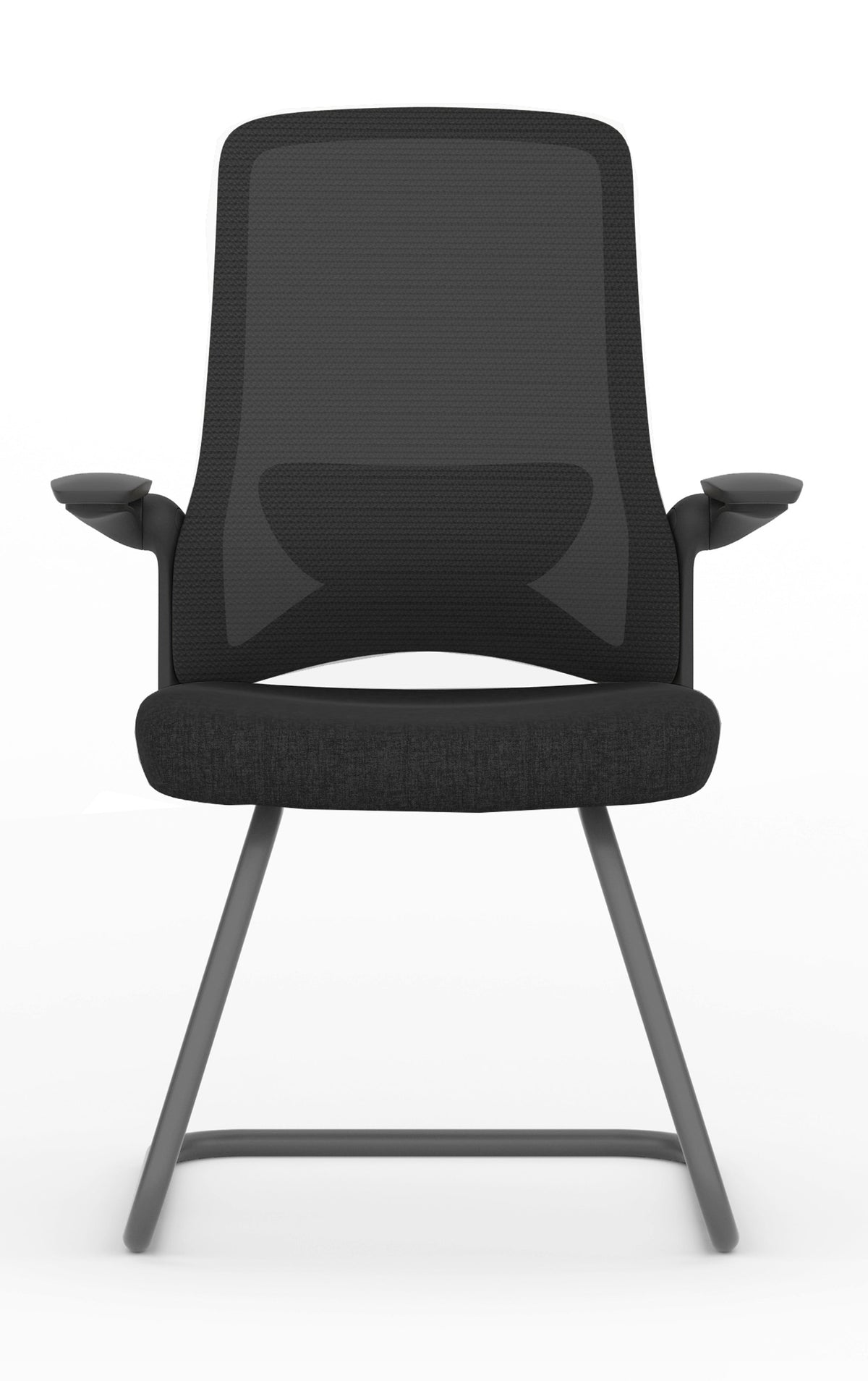Dolphin silla visitante trineo