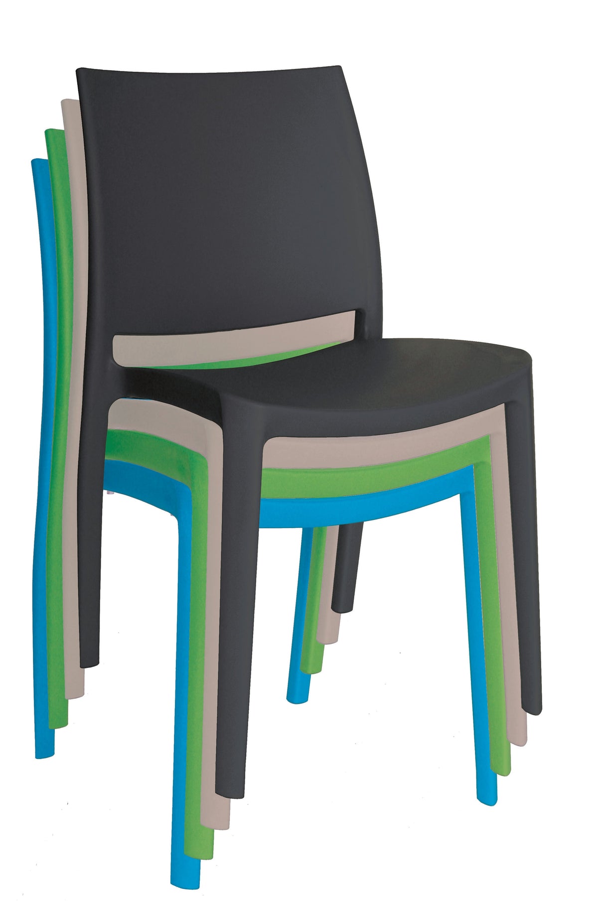 Sensilla silla exterior