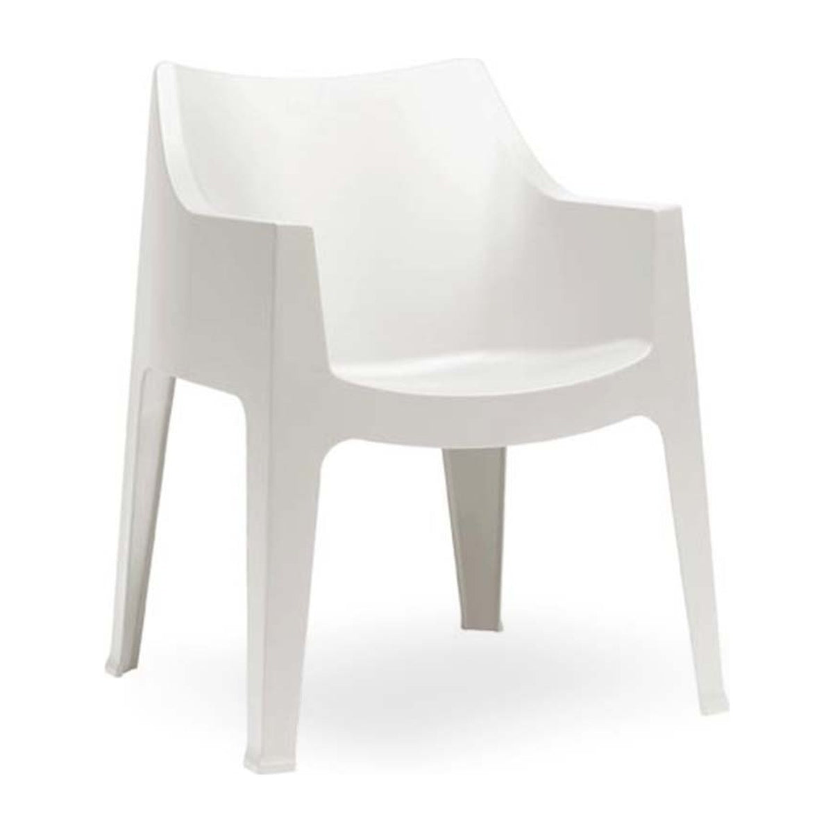 Coccolona silla