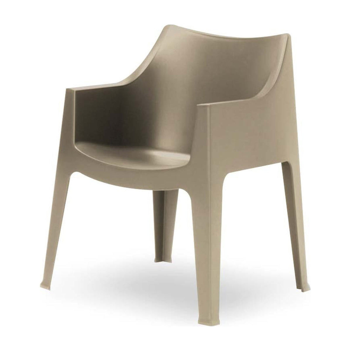 Coccolona silla