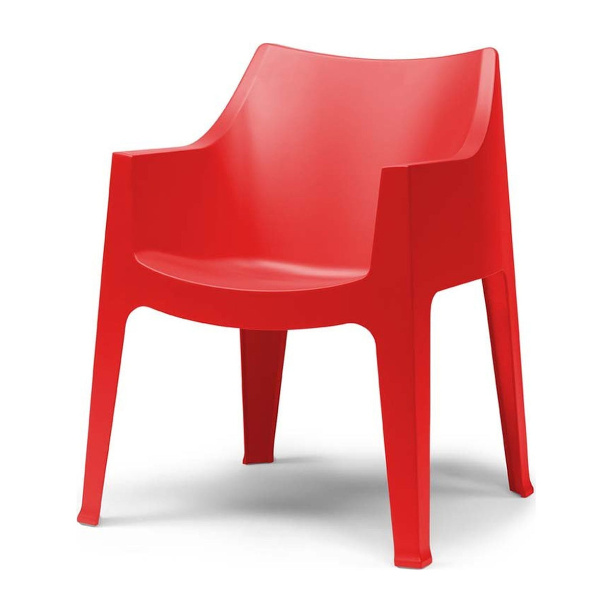 Coccolona silla