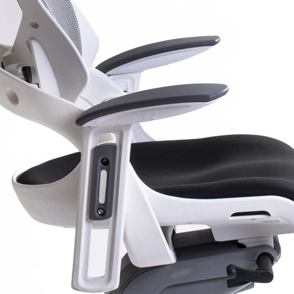 Madagascar silla directiva